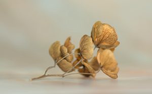 德州牛仔如何读牌？三大实战读牌技巧让你看清对手底牌
